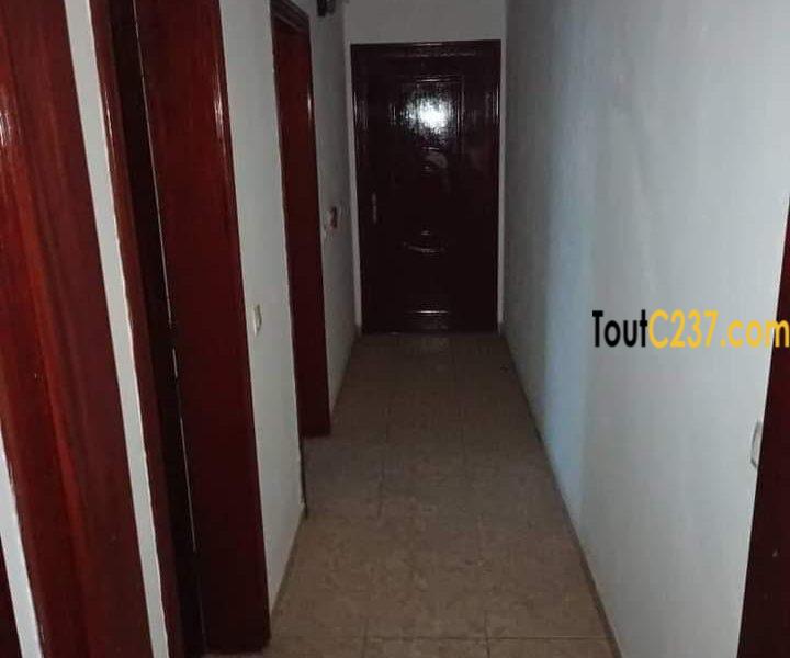 Appartement à louer à Bonapriso Douala