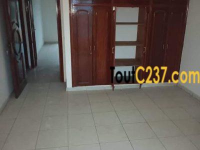 Appartement à louer à Bonapriso Douala