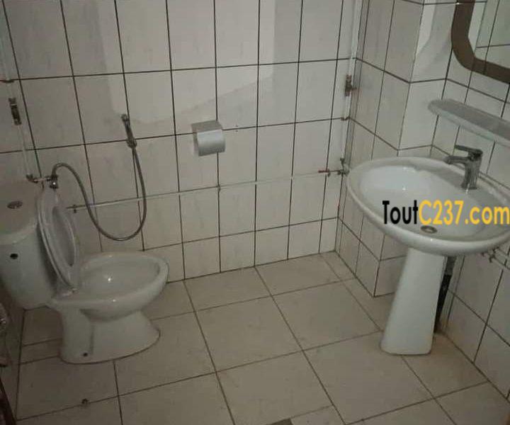 Appartement à louer à Bonapriso Douala
