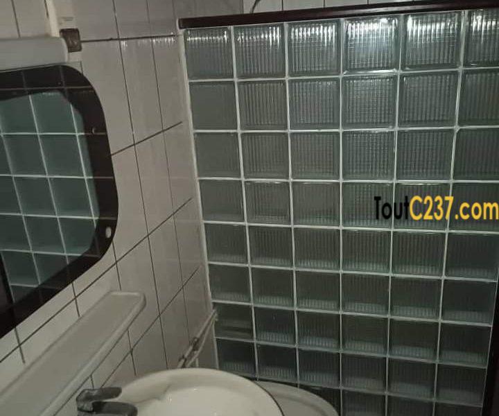 Appartement à louer à Bonapriso Douala