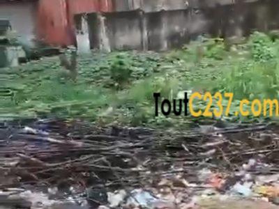 Terrain commercial à vendre à Mboppi Douala