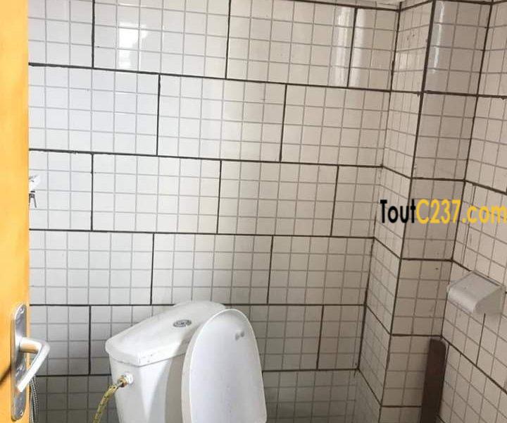 Appartement à louer à New Bell (gangue)