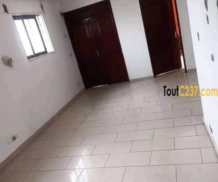 Appartement à louer à Bonapriso Douala