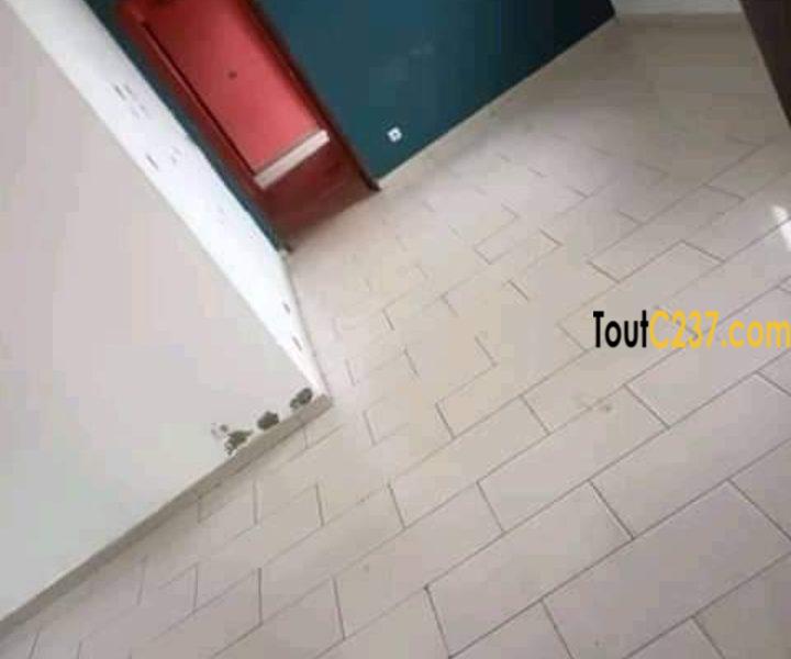 Appartement à louer à Bonapriso Douala