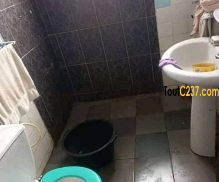 Appartement à louer à Bonapriso Douala