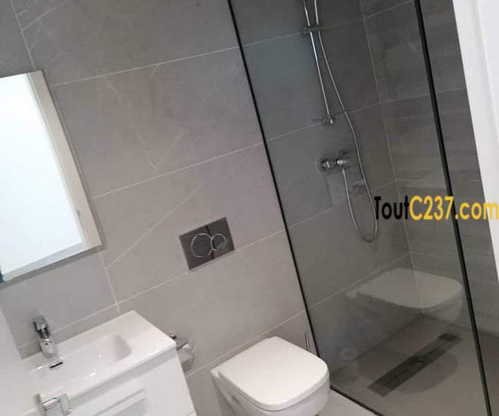 Appartement haut standing à louer à Bonapriso