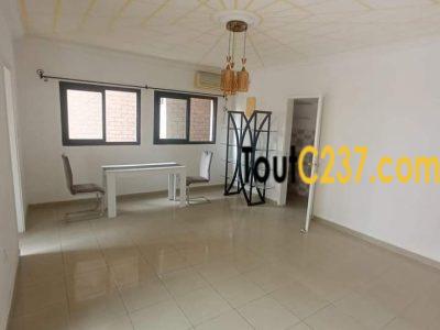 Appartement à louer à Bonapriso Douala