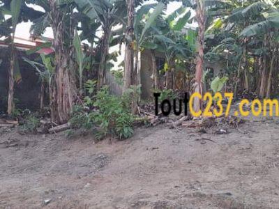 Terrain à vendre à Makepe (Montana city)