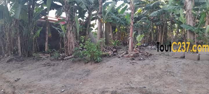 Terrain à vendre à Makepe (Montana city)