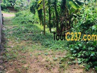 Terrain de 150m² à vendre à Logpom