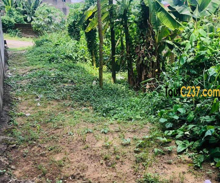 Terrain de 150m² à vendre à Logpom