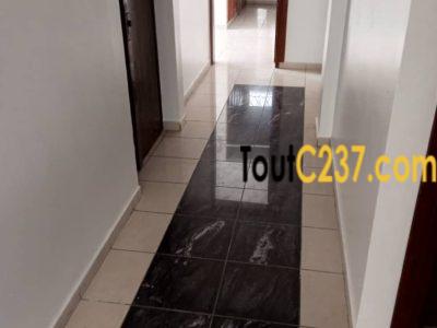 Très vaste appartement à louer à Bonapriso h