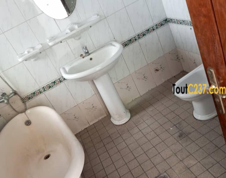 Très vaste appartement à louer à Bonapriso h