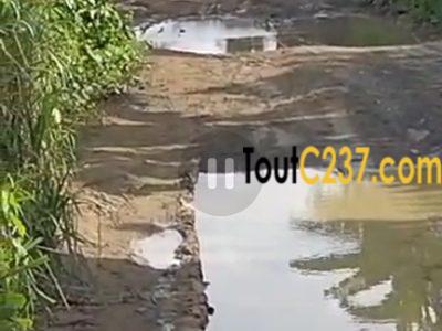 Terrain à vendre à Yassa Nkolbong