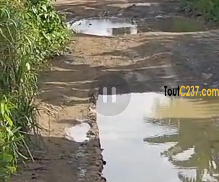 Terrain à vendre à Yassa Nkolbong