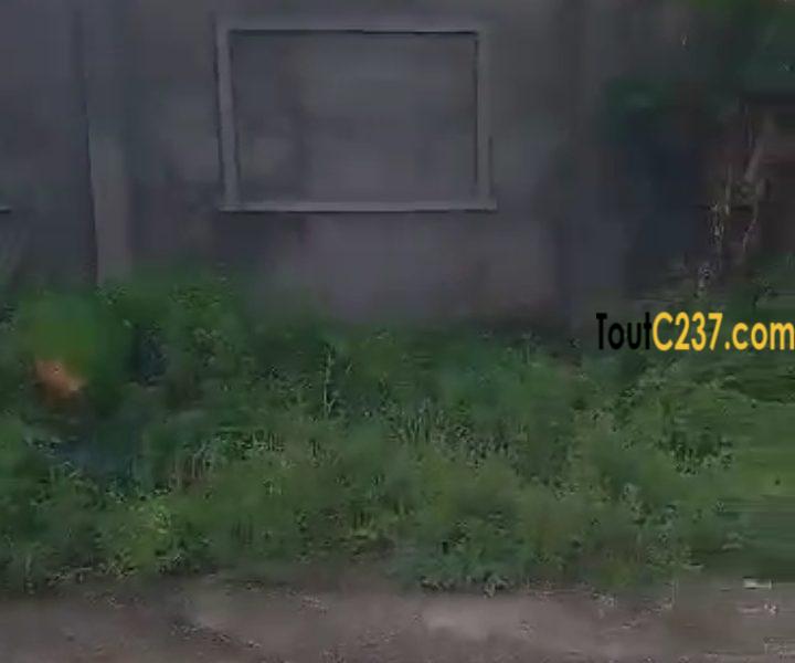 Terrain à vendre à Yassa Nkolbong