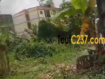 Terrain dangle à vendre à Logbessou