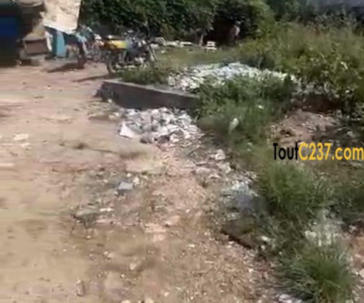 Terrain commeecial à vendre à Bali