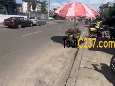 Terrain commeecial à vendre à Bali