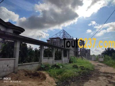 Terrain à vendre à Bonamoussadi Douala