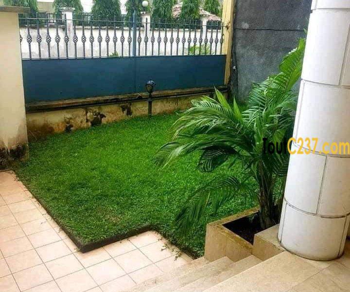 Duplex à louer à Bonapriso Douala