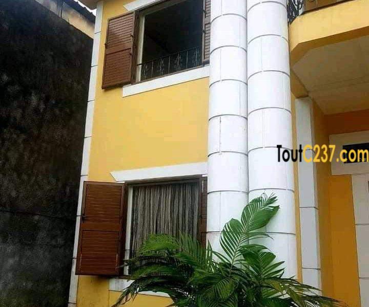 Duplex à louer à Bonapriso Douala