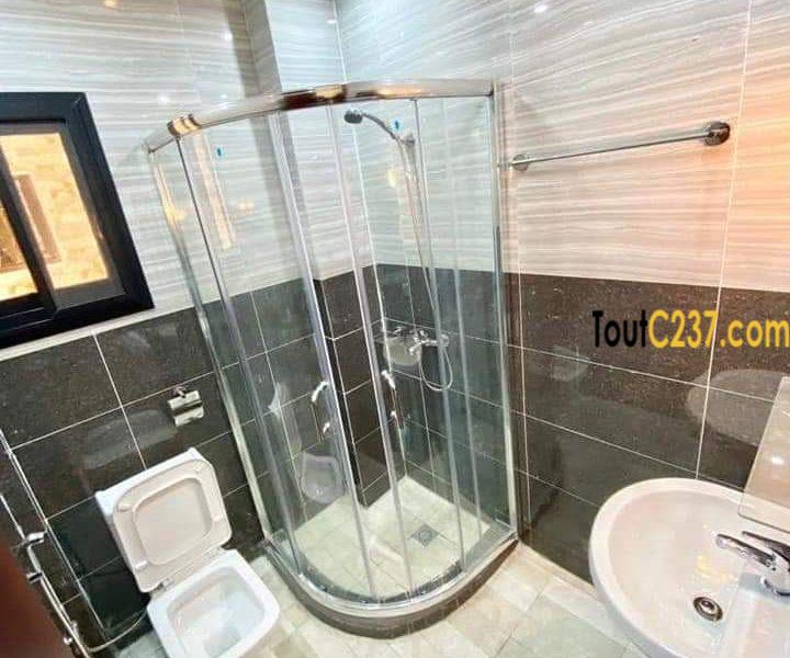 Appartement neuf à louer à Bonamoussadi Douala