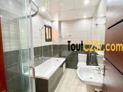 Appartement neuf à louer à Bonamoussadi Douala