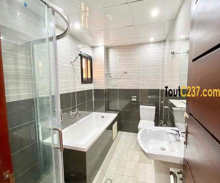 Appartement neuf à louer à Bonamoussadi Douala