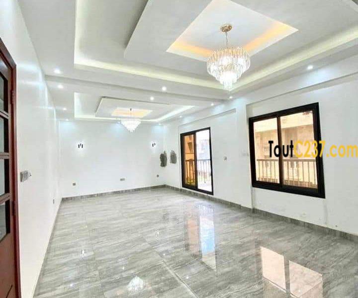 Appartement neuf à louer à Bonamoussadi Douala