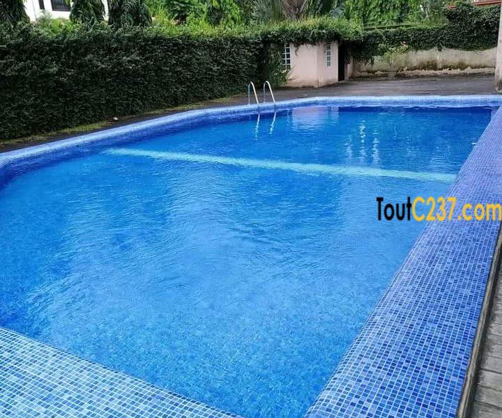 Vaste appartement à louer à Bonamoussadi