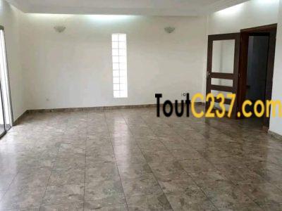 Vaste appartement à louer à Bonamoussadi