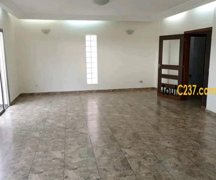 Vaste appartement à louer à Bonamoussadi