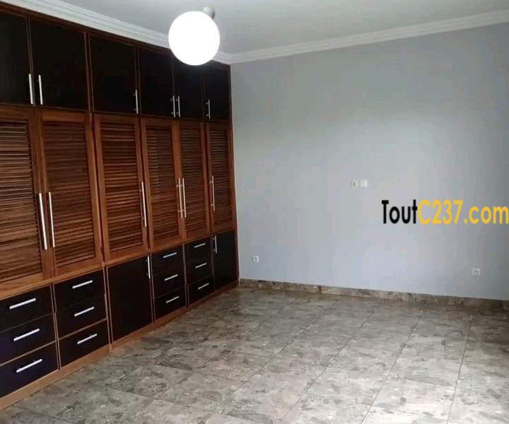 Vaste appartement à louer à Bonamoussadi