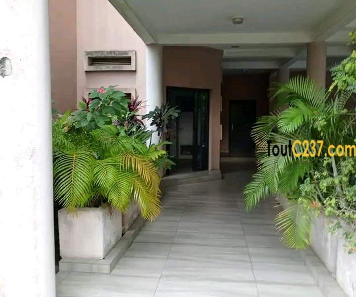 Vaste appartement à louer à Bonamoussadi