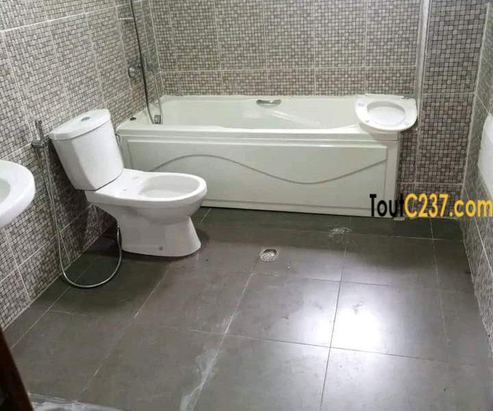 Vaste appartement à louer à Bonamoussadi