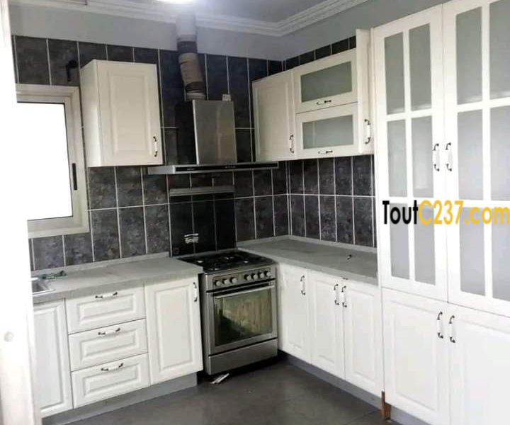 Vaste appartement à louer à Bonamoussadi