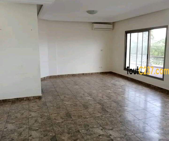 Vaste appartement à louer à Bonamoussadi