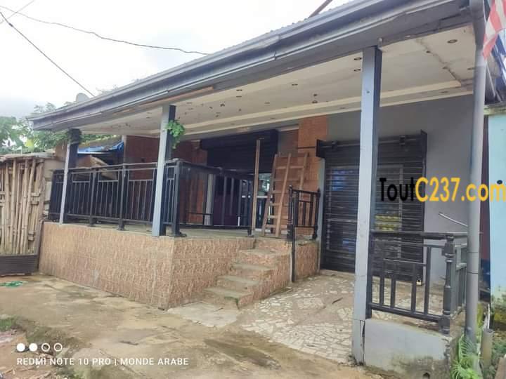 Maison commerciale à louer à Bonamoussadi