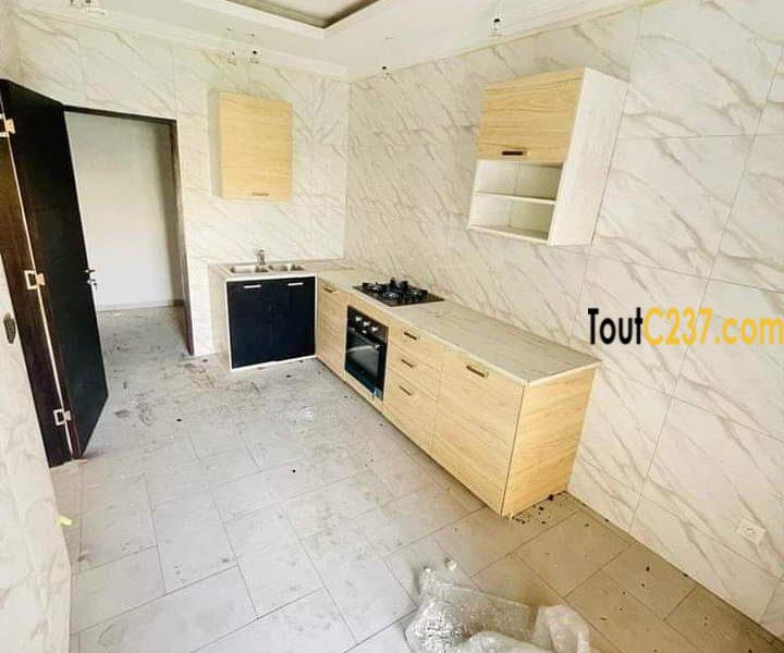 Appartement neuf à louer à Bonamoussadi