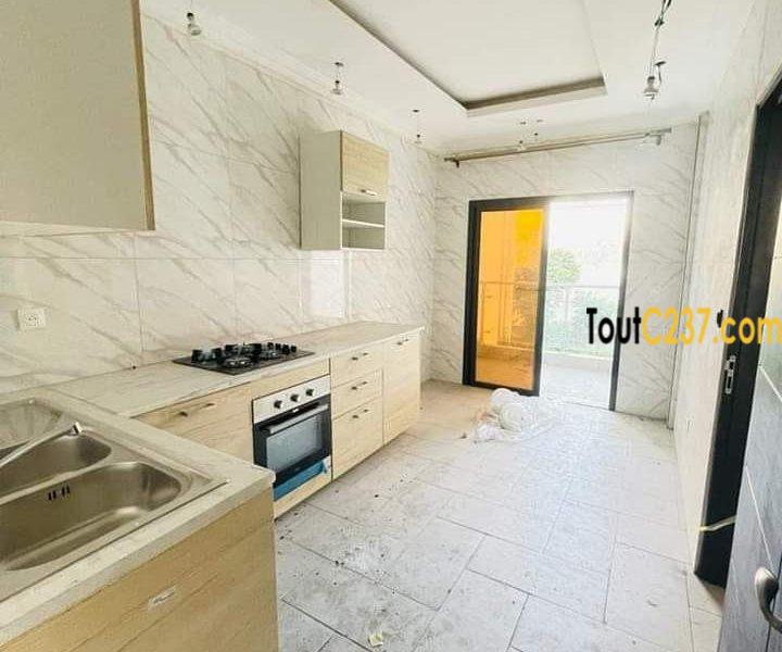 Appartement neuf à louer à Bonamoussadi