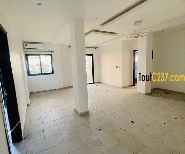 Appartement neuf à louer à Bonamoussadi