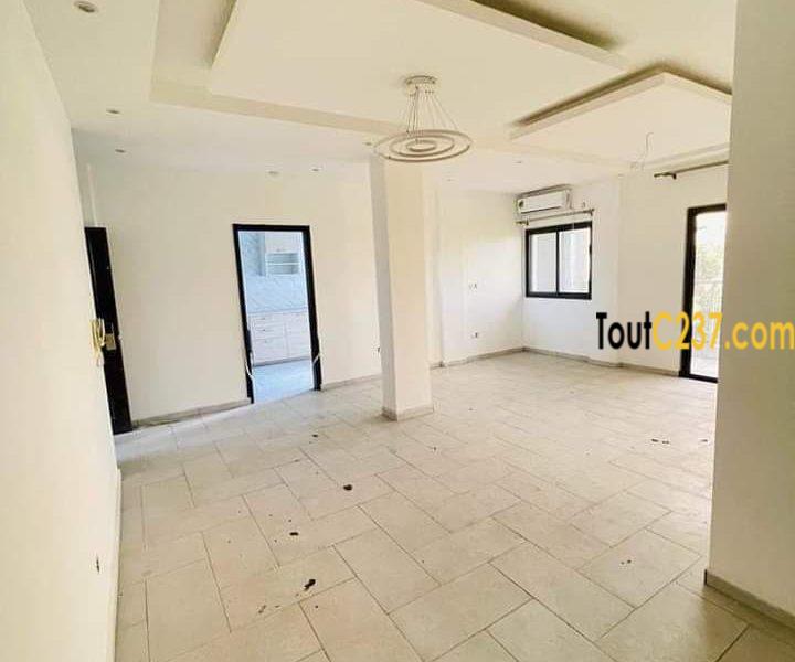 Appartement neuf à louer à Bonamoussadi