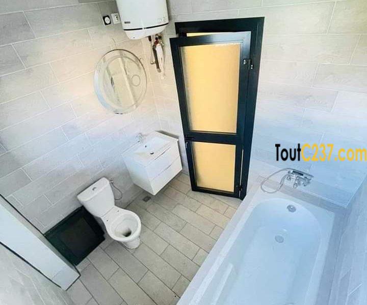 Appartement neuf à louer à Bonamoussadi