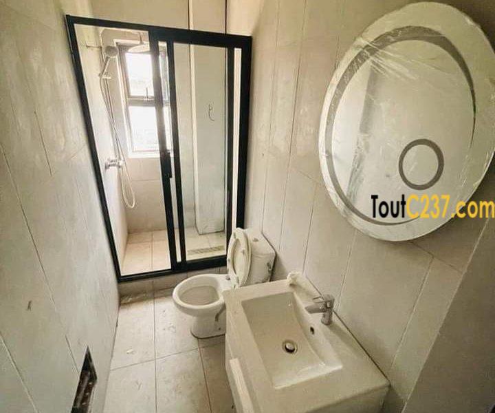 Appartement neuf à louer à Bonamoussadi