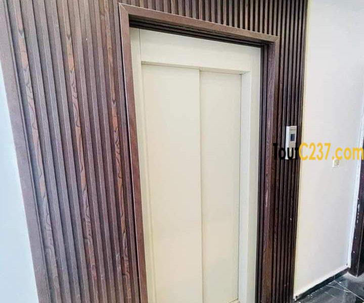 Appartement neuf à louer à Bonamoussadi