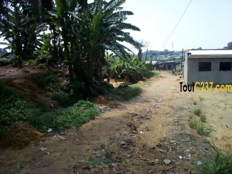 Terrain à vendre à Ndokoti (CCC)