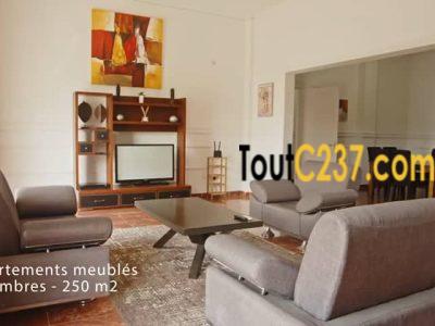 Vaste appartement à Louer à Bonanjo,, Douala