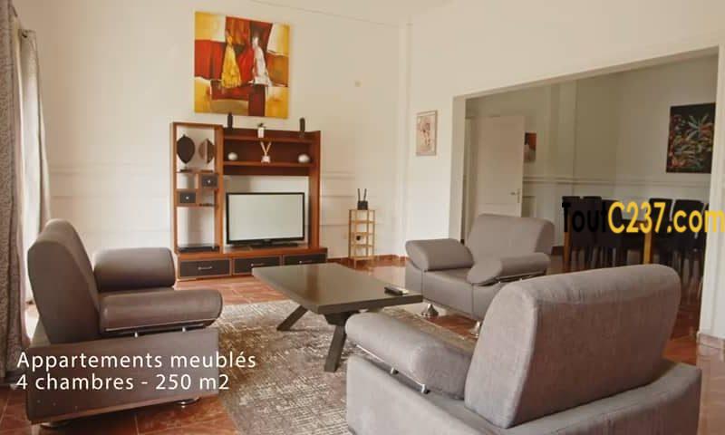 Vaste appartement à Louer à Bonanjo,, Douala