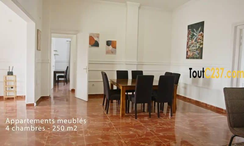 Vaste appartement à Louer à Bonanjo,, Douala